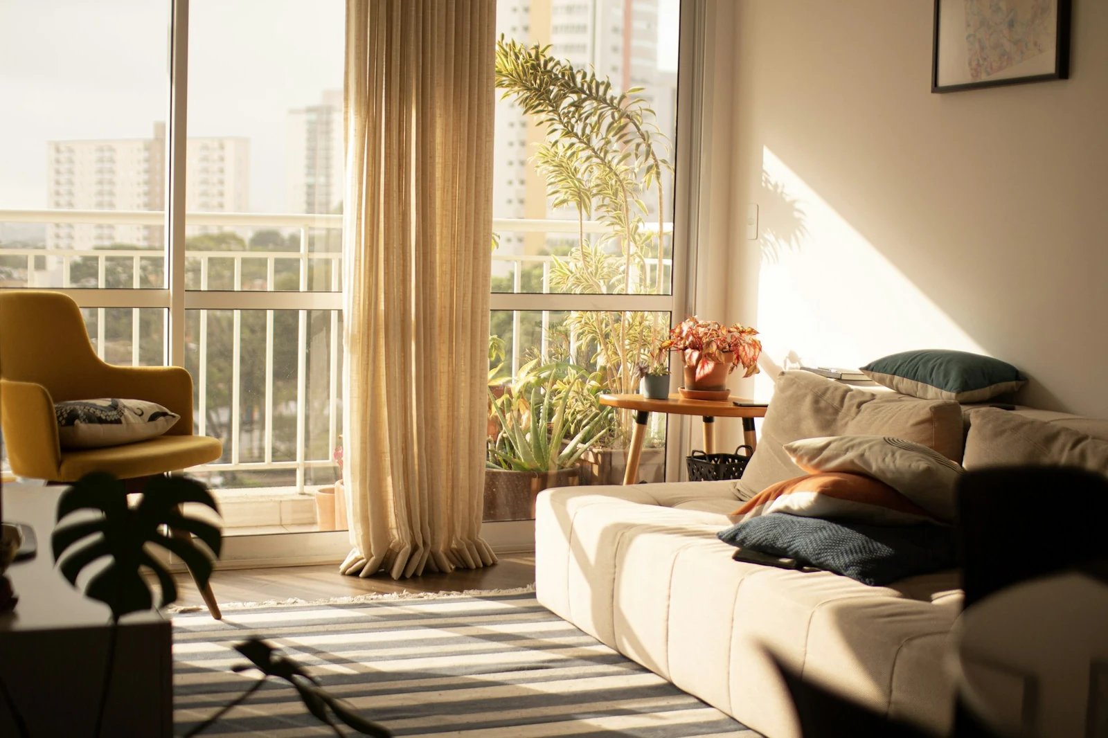 Living room in warm golden sunlight with a cream sofa, yellow armchair and plants